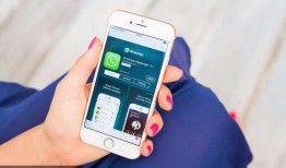 塑料树手机在线观看,塑料树手机在线观看，带你穿越时光隧道